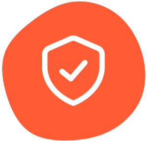 secure icon
